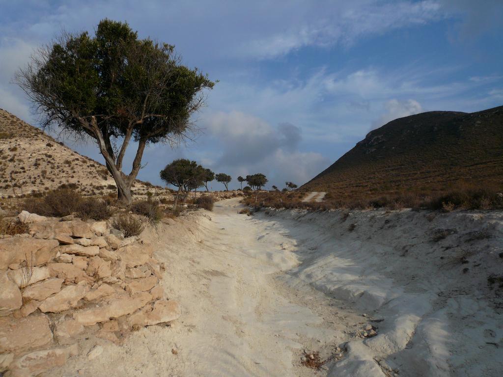La Posidonia Lägenhet Rodalquilar Exteriör bild