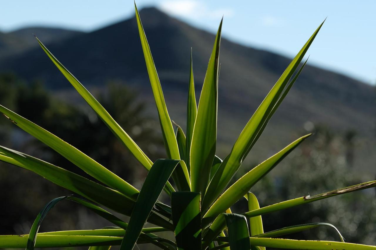La Posidonia Lägenhet Rodalquilar Exteriör bild